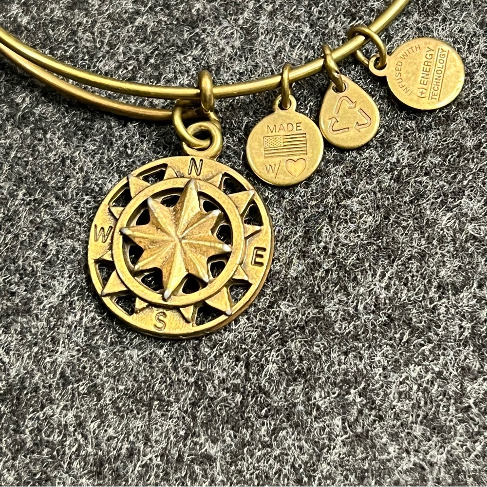Alex and Ani Compass Bangle Bracelet